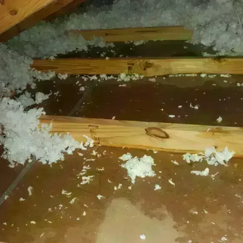 Attic Water Damage in Glen Avon, CA